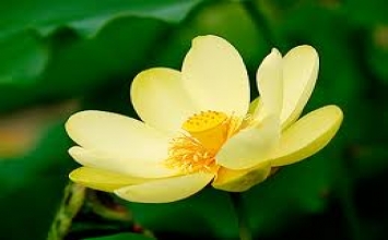 Hãy tự mở kho báu của mình